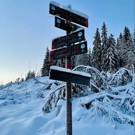 Hotel Kleivstua Near Krokskogen Sundvollen