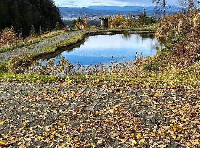 Kleivstua Near Krokskogen