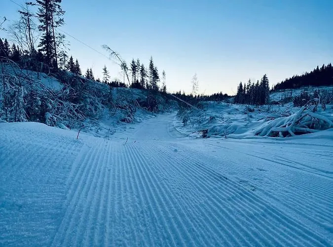 Kleivstua Near Krokskogen 4*