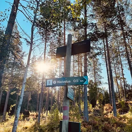 Kleivstua Near Krokskogen Sundvollen